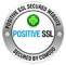 PositiveSSL_tl_trans